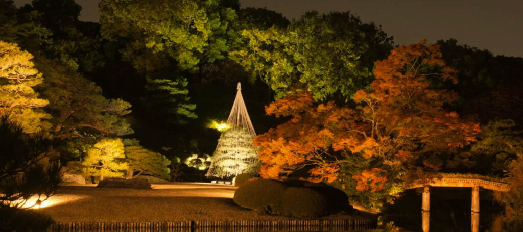 Lighting highlights landscaped garden features